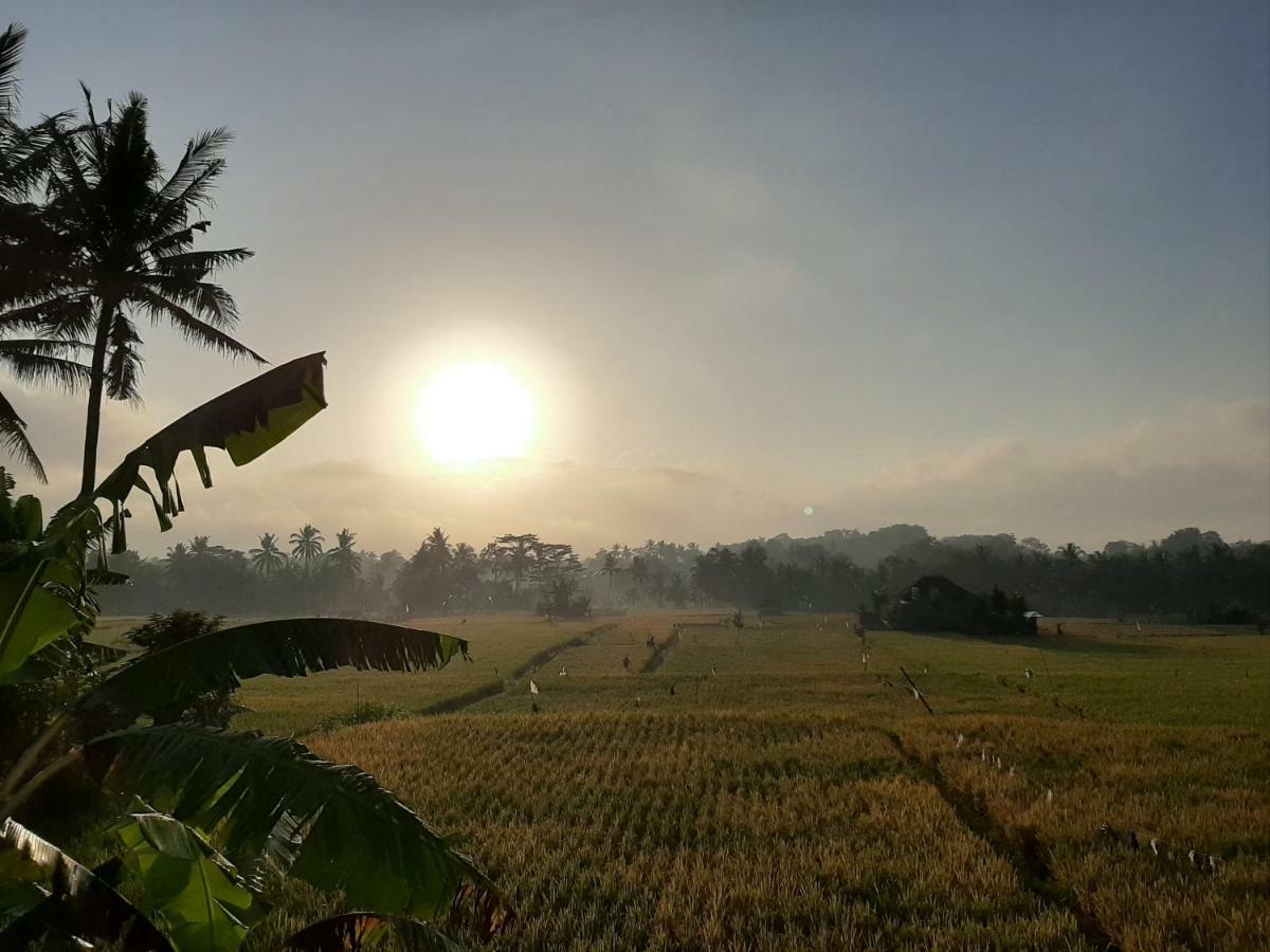 The Satya विला Ubud (Bali)